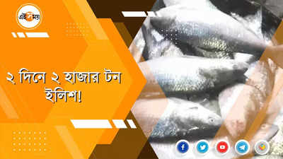 শীতে হাজার মন ইলিশ