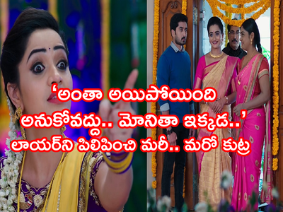 Karthika Deepam నవంబర్ 25 ఎపిసోడ్: ఒక్క వీడియోతో తేలిన నిజం, పగబట్టిన మోనిత.. ‘వారం రోజుల్లో మీ అందరి పని క్లోజ్’ అంటూ..