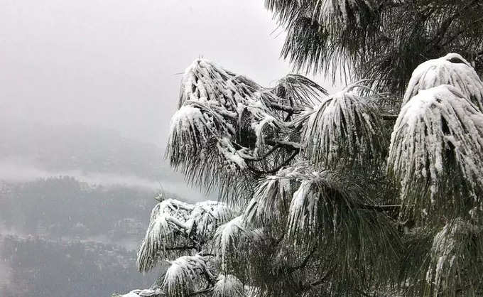 Snowfall In India:শীতে বেড়ানোর প্ল্যান? সাদা তুষারে ঢাকা দেশের এই ৮ জায়গা  না দেখলে জীবনই বৃথা...