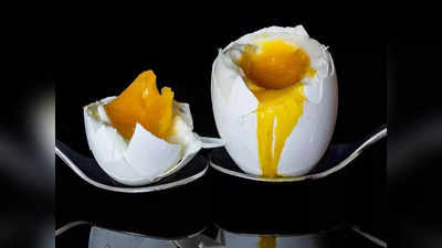 Benefits Of Eggs In Winter: শীতের ডায়েটে রোজ ডিম! শুনুন কী বলছেন স্বাস্থ্য বিশেষজ্ঞরা
