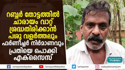 റബ്ബര്‍ തോട്ടത്തിൽ ചാരായം വാറ്റ്; ശ്രദ്ധതിരിക്കാൻ പശു വളര്‍ത്തലും ഫര്‍ണീച്ചര്‍ നിര്‍മാണവും;പ്രതിയെ പൊക്കി എക്സൈസ്