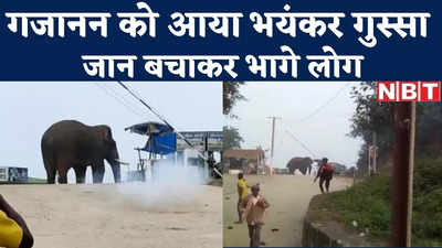 Jharkhand News : गजानन के गुस्से का लाइव वीडियो देखिए, नाराज हाथी को देख मच गई सरायकेला-खरसावां में भगदड़