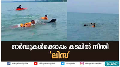 മാസങ്ങളായുള്ള പരിശീലനം,ഒടുവിൽ‌ ലിസ കടലിൽ നിന്ന് നീന്തി കയറി