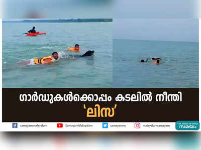 മാസങ്ങളായുള്ള പരിശീലനം,ഒടുവിൽ‌ ലിസ കടലിൽ നിന്ന് നീന്തി കയറി