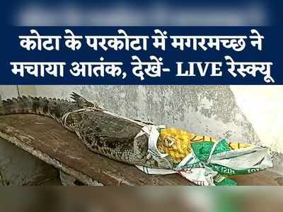 Kota News: राजस्थान के कोटा में मगरमच्छ का आतंक, देखें- मोहल्ले में रेस्क्यू ऑपरेशन का लाइव