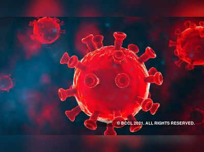 omicron virus : करोनाच्या नव्या वेरियंटसमोर लस आणि बूस्टर डोस... सगळं फेल! WHO कडून चिंता व्यक्त