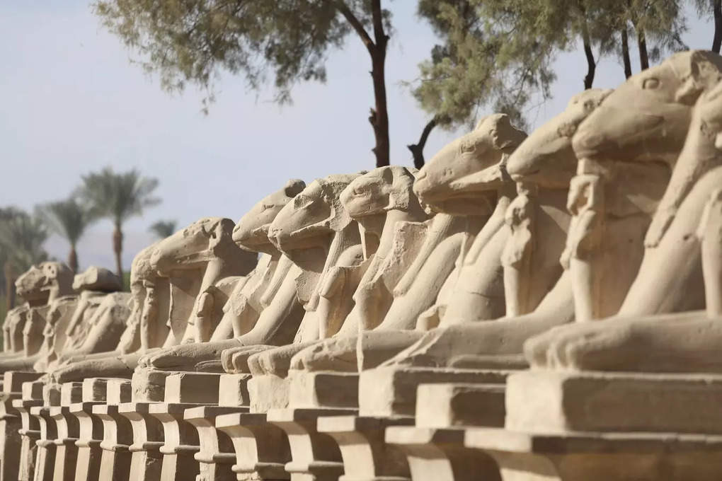 Sphinxes Egypt AP