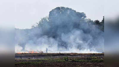 Farm Law: पराली जलाना अब अपराध नहीं होगा, मोदी सरकार ने किसानों की मांग मानी