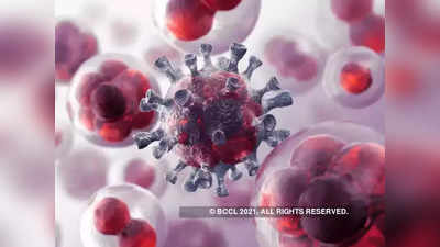 ​​Coronavirus New Variant Omicron Alert: कोरोना के नए वेरिएंट ओमीक्रॉन ने मचाई हलचल, दिल्ली एलजी ने अधिकारियों को आपात स्थिति के लिए तैयार रहने को कहा