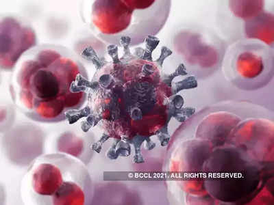 ​​Coronavirus New Variant Omicron Alert: कोरोना के नए वेरिएंट ओमीक्रॉन ने मचाई हलचल, दिल्ली एलजी ने अधिकारियों को आपात स्थिति के लिए तैयार रहने को कहा