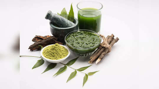 neem benefits: வேப்பிலையை மருந்தாக எப்படி பயன்படுத்த வேண்டும்? மருத்துவர் கூறும் வழிமுறைகள் இதோ...