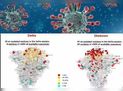 Omicronની પહેલી તસવીર, ડેલ્ટા કરતા ઘણો ભયાનક દેખાઈ રહ્યો છે નવો વાયરસ