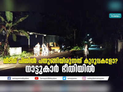 വീടിന് പിന്നിൽ പതുങ്ങിയിരുന്നത് കുറുവകളോ?  നാട്ടുകാർ ഭീതിയിൽ 