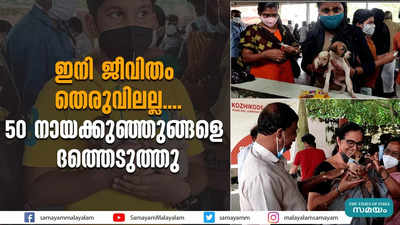 ഇനി ജീവിതം തെരുവിലല്ല.... 50 നായക്കുഞ്ഞുങ്ങളെ ദത്തെടുത്തു