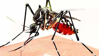 Delhi Dengue News: एक हफ्ते भर में डेंगू के 1148 नए मामले आए, पिछले साल के मुकाबले डेंगू के केस ज्यादा