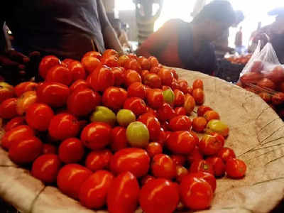 Tomato Price Today: পাইকারি বাজারে টমেটো ₹50, পড়তির দিকে দাম?