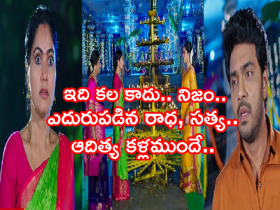 Devatha నవంబర్ 30 ఎపిసోడ్: గుడిలో కలుసుకున్న రుక్మిణీ, సత్య.. విజిల్స్ పడే హిట్ సీన్.. ఇది కల కాదు నిజం