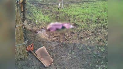 Jabalpur News: खेत की रखवाली कर रहे दलित किसान की हत्या, सिर काटकर अपने साथ ले गए हत्यारे