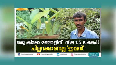 ഒരു കിലോ മഞ്ഞളിന്  വില 1.5 ലക്ഷം!! ചില്ലറക്കാരനല്ല ഇവൻ, വീഡിയോ കാണാം