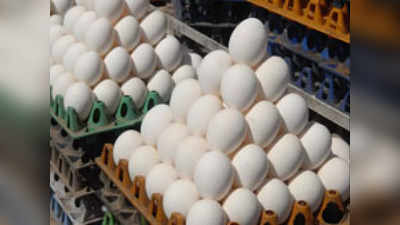 अंडी खाताहेत भाव! ऐन हिवाळ्यात अंड्यांच्या किंमतीत वाढ
