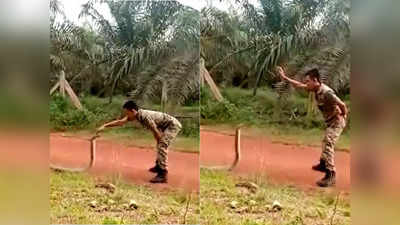 आर्मी के जवान ने पकड़ा विशाल किंग कोबरा, लोग बोले- ये ट्रिक तो गजब है!