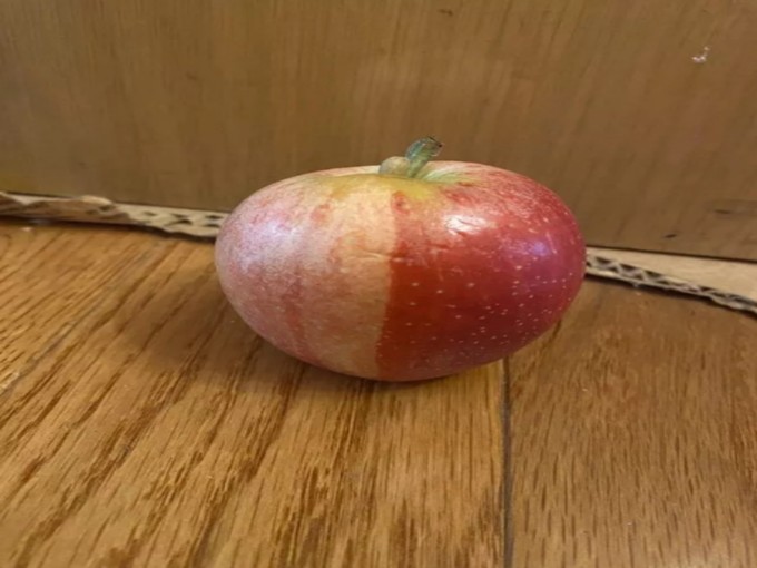 एक सेब दो रंग!