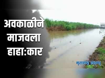 Satara : जिल्ह्यात अवकाळीने मोठं नुकसान; थेट शेतातून आढावा