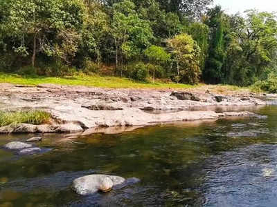 ചീങ്കണ്ണി പുഴയിലെ മീൻ പിടുത്ത കേസ് വഴിത്തിരിവിൽ; മത്സ്യങ്ങളുടെ പട്ടിക പുറത്ത്