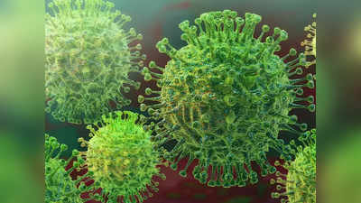 कोरोना वायरस के ओमीक्रोन, डेल्टा स्वरूप के कारण कई देशों में फिर से लग रही पाबंदी