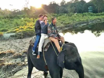 আজ থেকে মূর্তিতেও হাতি সাফারি