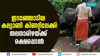 ഇടഞ്ഞോടിയ കല്യാണി കിണറ്റിലേക്ക്! തലനാരിഴയ്ക്ക് രക്ഷപ്പെടൽ