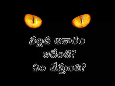 The Big Grey Man: నల్లటి ఆకారం.. అదేంటి.. ఏం చేస్తుంది?