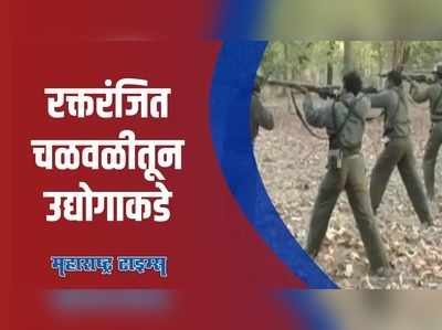 गडचिरोली | आत्मसमर्पण केलेल्या नक्षलवादी महिला बनल्या उद्योजिका