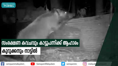 സംരക്ഷണ കവചവും കാട്ടുപന്നിക്ക് ആഹാരം  കുറുക്കനും നാട്ടില്‍