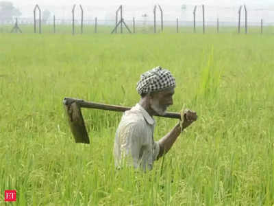 PM-KISAN Scheme: किसानों के अटके हुए हैं 374.78 करोड़ रुपये, जानें संसद में क्या बोले कृषि मंत्री