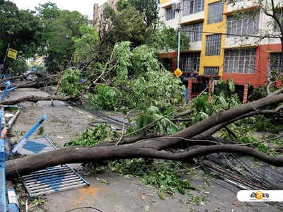 ধেয়ে আসছে জাওয়াদ, ঘূর্ণিঝড় মোকাবিলায় সতর্ক কলকাতা পুরসভা