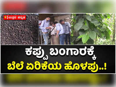 ಒಂದೇ ತಿಂಗಳಲ್ಲಿ ದುಪ್ಪಟ್ಟಾಯ್ತು ಕರಿಮೆಣಸಿನ ದರ: ಈಗ ಅಡಿಕೆಗೂ, ಕಾಳು ಮೆಣಸಿಗೆ ಈಗ ‘ದರ ಸಮರ’