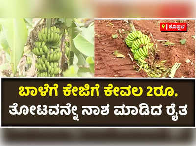 ಬಾಳೆಗೆ ಕೆಜಿಗೆ ಕೇವಲ 2 ರೂ.:  ತಾನೇ ಬೆಳೆದ ಬಾಳೆ ತೋಟವನ್ನು ನಾಶ ಮಾಡಿದ ಕೊಪ್ಪಳದ ರೈತ