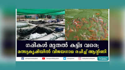 ഗപ്പികള്‍ മുതല്‍ കട്ട്‌ല വരെ; മത്സ്യകൃഷിയില്‍ വിജയഗാഥ രചിച്ച് ആന്‍റണി, വീഡിയോ കാണാം