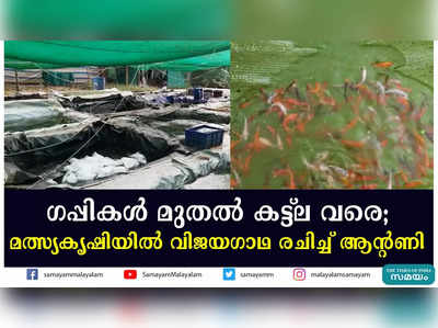 ഗപ്പികള്‍ മുതല്‍ കട്ട്‌ല വരെ;  മത്സ്യകൃഷിയില്‍ വിജയഗാഥ രചിച്ച് ആന്‍റണി