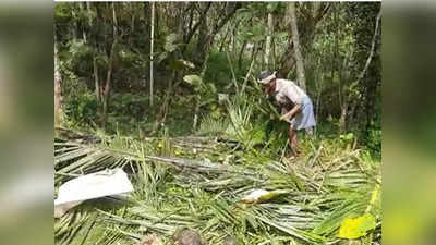 പാട്ട കൊട്ടിയും പടക്കം പൊട്ടിച്ചും നാട്ടുകാര്‍; കാട്ടാനയെ തുരത്താന്‍ വേറെന്ത് വഴി, വീഡിയോ