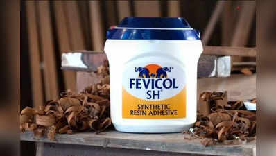 Story of Fevicol Brand: कभी चपरासी की नौकरी करते थे फेविकोल मैन, आज 2213 करोड़ रुपये है कंपनी का रेवेन्यू