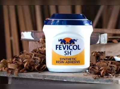 Story of Fevicol Brand: कभी चपरासी की नौकरी करते थे फेविकोल मैन, आज 2213 करोड़ रुपये है कंपनी का रेवेन्यू