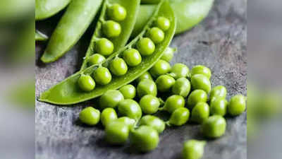 Green Peas Side Effects: শীতে কড়াইশুঁটি ভালো, কিন্তু বেশি খেলে হতে পারে মারাত্মক বিপদ!