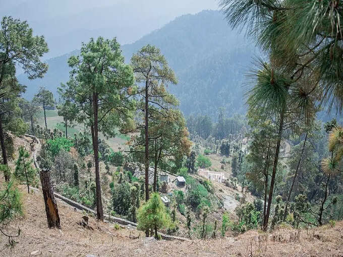 बिनसार - Binsar in Hindi