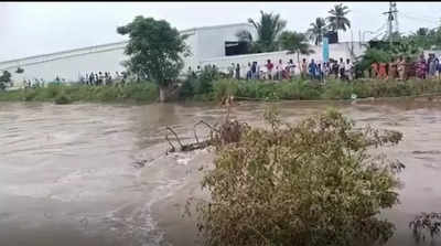 அரியாற்றில் மீண்டும் உடைப்பு... நடவடிக்கை எடுக்குமா பொதுப்பணித் துறை?