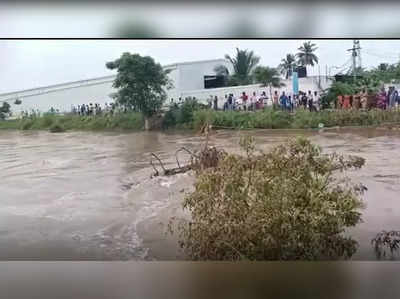 அரியாற்றில் மீண்டும் உடைப்பு... நடவடிக்கை எடுக்குமா பொதுப்பணித் துறை?