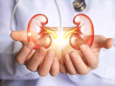 Healthy Kidneys : ஆரோக்கியமான சிறுநீரகத்துக்கு அஸ்திவாரமாய் செய்ய வேண்டிய 7 விஷயங்கள் என்னென்ன?