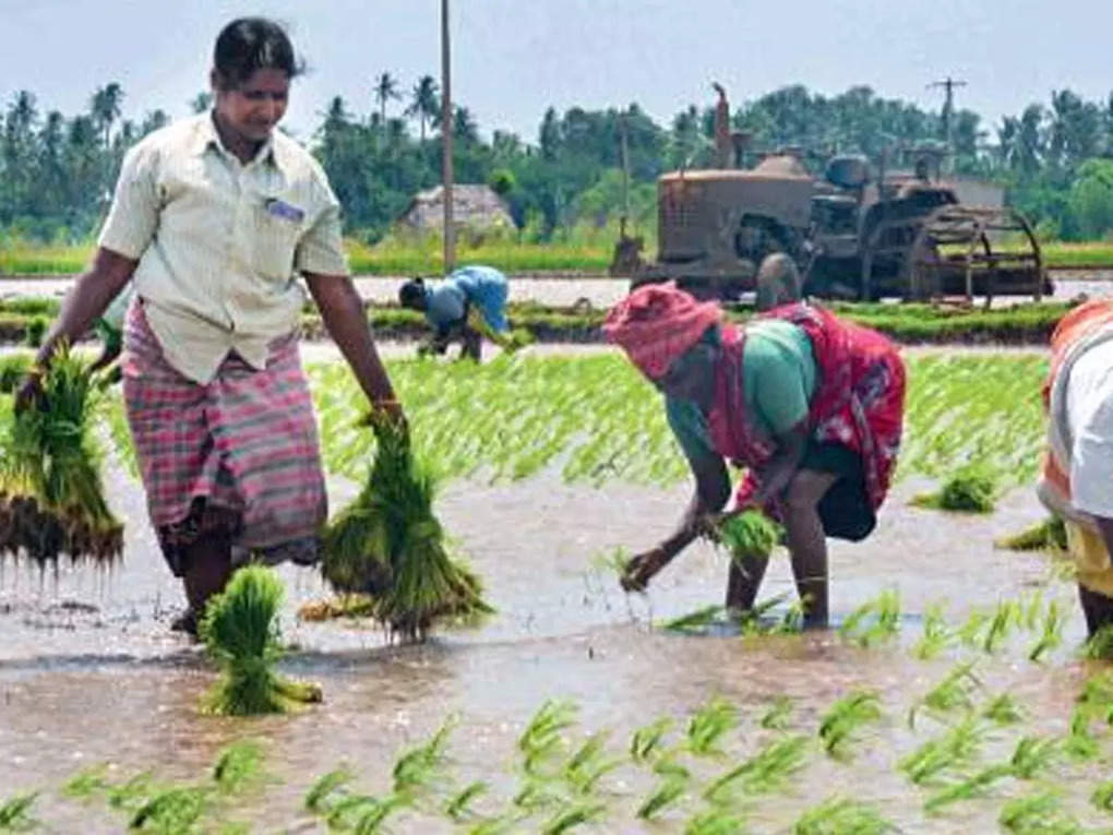 கோப்புப்படம்