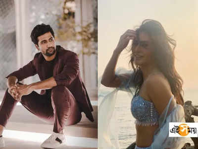 Vicky Kaushal-Katrina Kaif Wedding Video: ৮০ কোটিতে রফা! ভিকি-ক্যাটের বিয়ের ফুটেজ কিনল এই OTT প্ল্যাটফর্ম